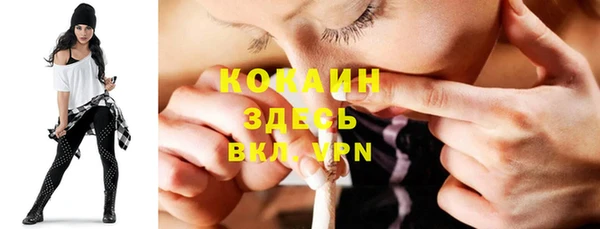 стаф Нея
