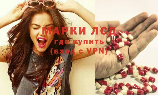 стаф Нея
