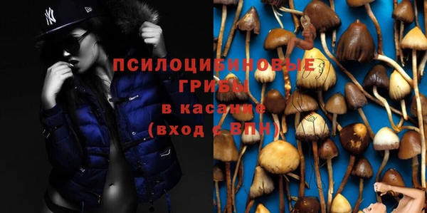 ALPHA-PVP Нефтекумск