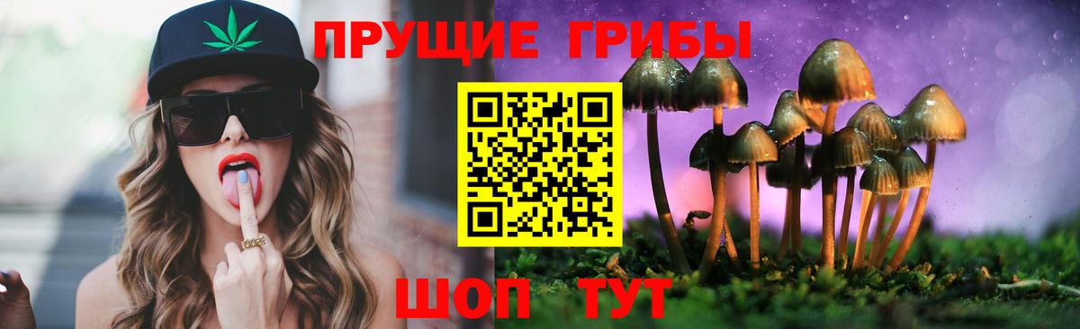 Северск  Псилоцибиновые грибы прущие грибы  Вход с VPN 